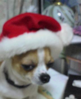 Ăłc